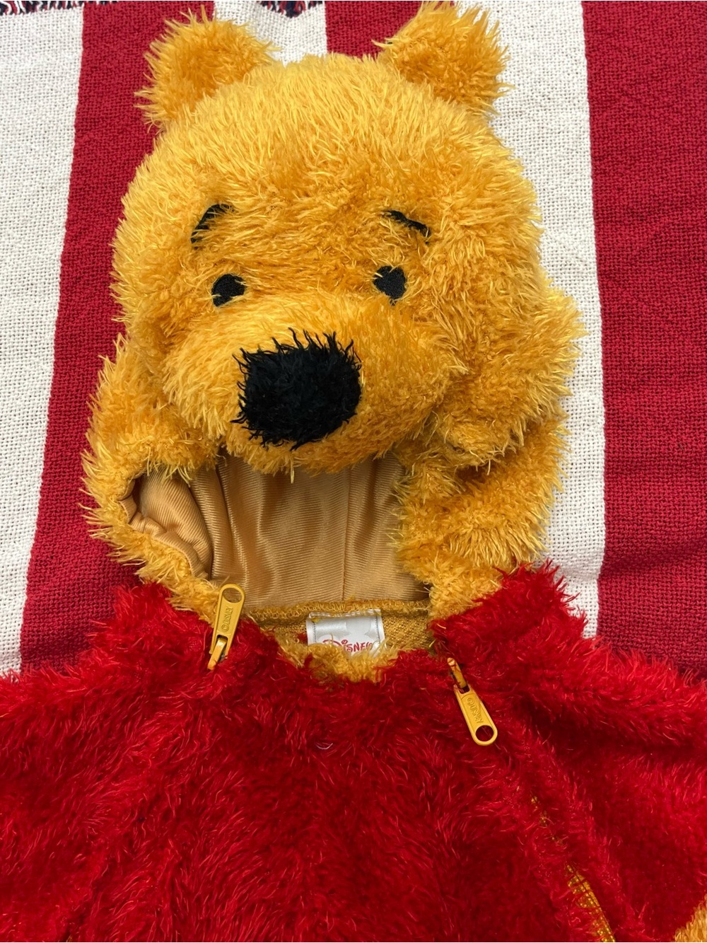 Disney Winnie the Pooh Halloween Costume Infant Size 12 Months - Picture 2 of 5